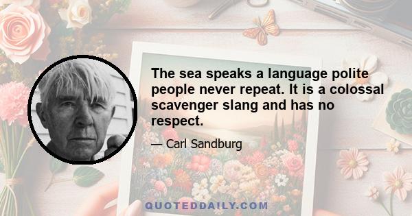 The sea speaks a language polite people never repeat. It is a colossal scavenger slang and has no respect.