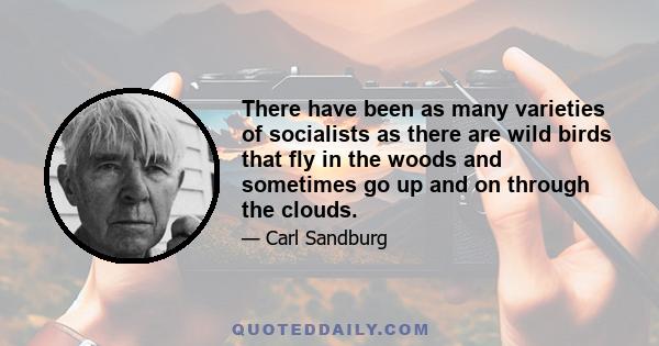 There have been as many varieties of socialists as there are wild birds that fly in the woods and sometimes go up and on through the clouds.