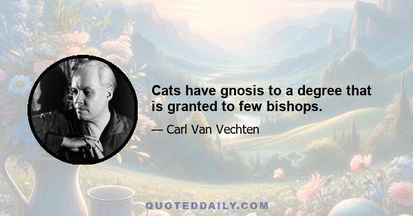 Cats have gnosis to a degree that is granted to few bishops.