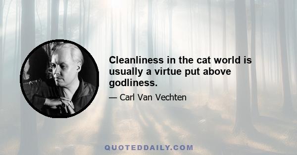 Cleanliness in the cat world is usually a virtue put above godliness.