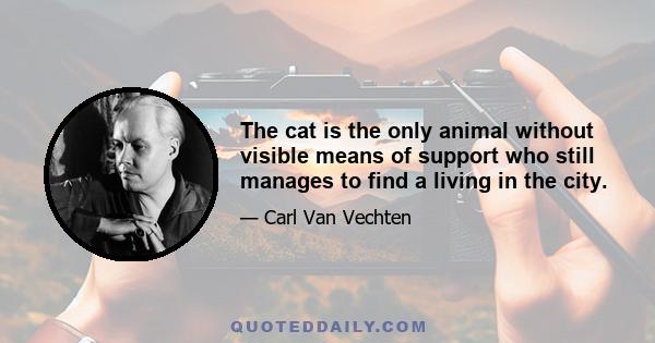 The cat is the only animal without visible means of support who still manages to find a living in the city.