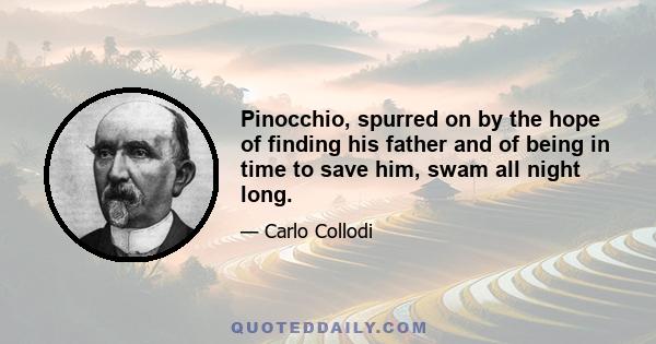 Pinocchio, spurred on by the hope of finding his father and of being in time to save him, swam all night long.