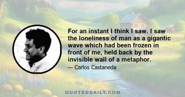 For an instant I think I saw. I saw the loneliness of man as a gigantic wave which had been frozen in front of me, held back by the invisible wall of a metaphor.