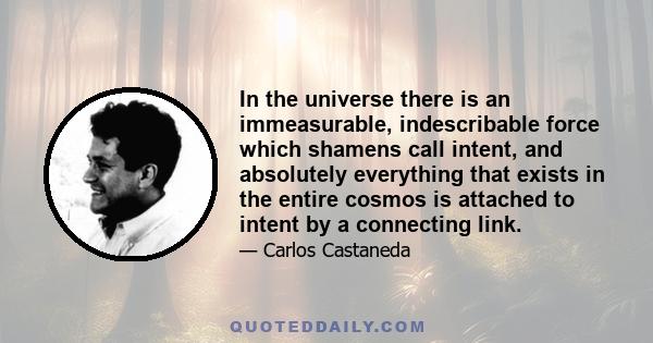 In the universe there is an immeasurable, indescribable force which shamens call intent, and absolutely everything that exists in the entire cosmos is attached to intent by a connecting link.