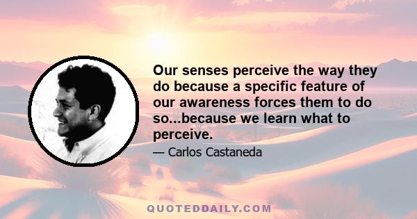 Our senses perceive the way they do because a specific feature of our awareness forces them to do so...because we learn what to perceive.