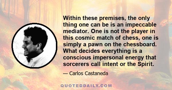 Within these premises, the only thing one can be is an impeccable mediator. One is not the player in this cosmic match of chess, one is simply a pawn on the chessboard. What decides everything is a conscious impersonal