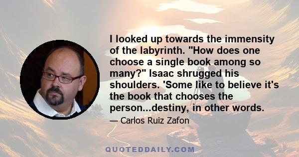 I looked up towards the immensity of the labyrinth. How does one choose a single book among so many? Isaac shrugged his shoulders. 'Some like to believe it's the book that chooses the person...destiny, in other words.