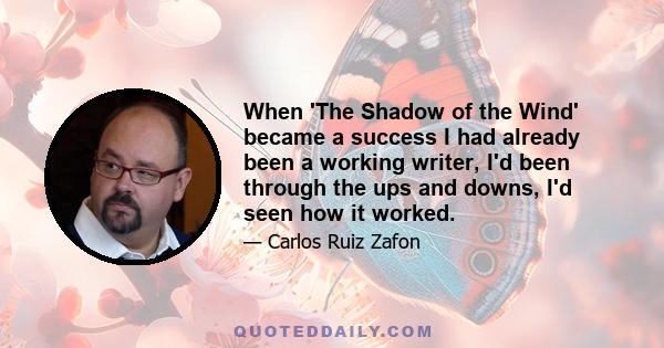 When 'The Shadow of the Wind' became a success I had already been a working writer, I'd been through the ups and downs, I'd seen how it worked.