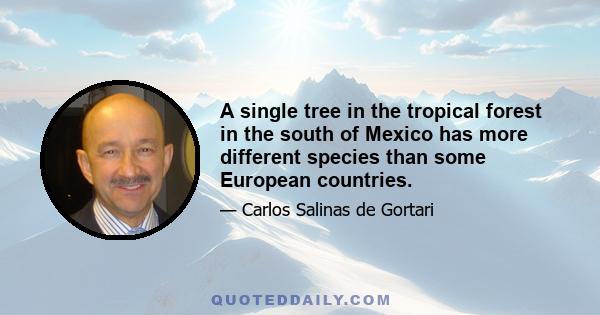 A single tree in the tropical forest in the south of Mexico has more different species than some European countries.