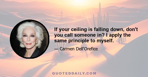 If your ceiling is falling down, don't you call someone in? I apply the same principle to myself.