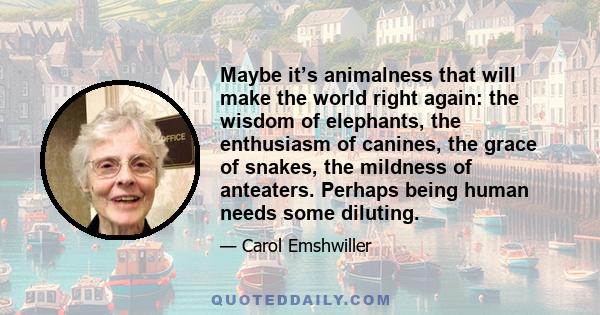 Maybe it’s animalness that will make the world right again: the wisdom of elephants, the enthusiasm of canines, the grace of snakes, the mildness of anteaters. Perhaps being human needs some diluting.