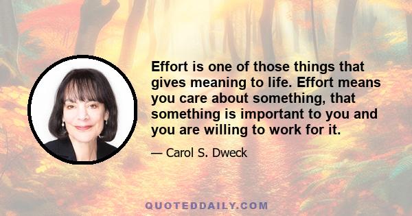 Effort is one of those things that gives meaning to life. Effort means you care about something, that something is important to you and you are willing to work for it.