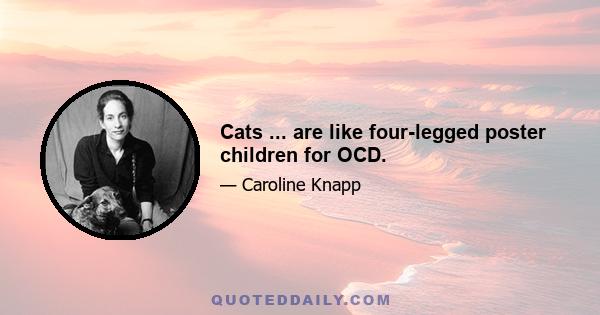 Cats ... are like four-legged poster children for OCD.