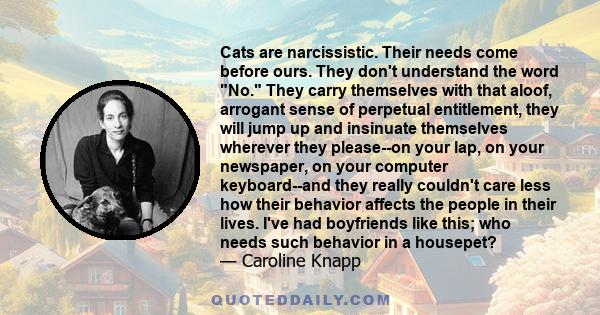 Cats are narcissistic. Their needs come before ours. They don't understand the word No. They carry themselves with that aloof, arrogant sense of perpetual entitlement, they will jump up and insinuate themselves wherever 