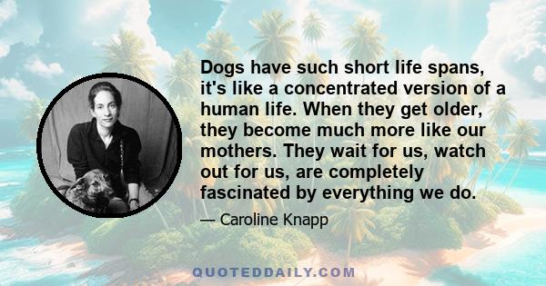 Dogs have such short life spans, it's like a concentrated version of a human life. When they get older, they become much more like our mothers. They wait for us, watch out for us, are completely fascinated by everything 