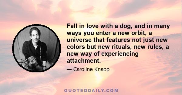 Fall in love with a dog, and in many ways you enter a new orbit, a universe that features not just new colors but new rituals, new rules, a new way of experiencing attachment.