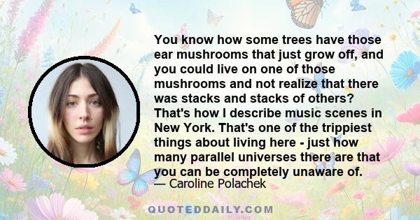 You know how some trees have those ear mushrooms that just grow off, and you could live on one of those mushrooms and not realize that there was stacks and stacks of others? That's how I describe music scenes in New