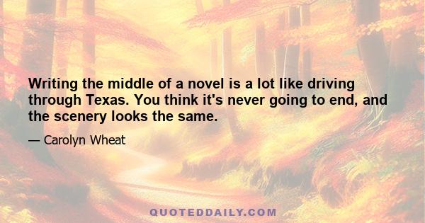 Writing the middle of a novel is a lot like driving through Texas. You think it's never going to end, and the scenery looks the same.