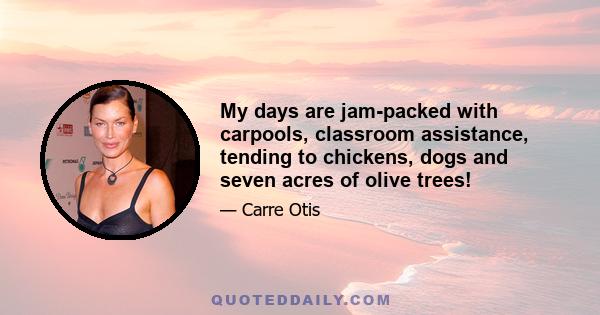 My days are jam-packed with carpools, classroom assistance, tending to chickens, dogs and seven acres of olive trees!