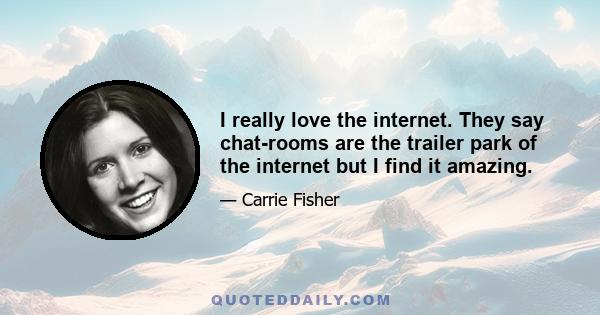 I really love the internet. They say chat-rooms are the trailer park of the internet but I find it amazing.