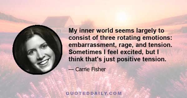 My inner world seems largely to consist of three rotating emotions: embarrassment, rage, and tension. Sometimes I feel excited, but I think that's just positive tension.