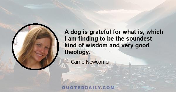 A dog is grateful for what is, which I am finding to be the soundest kind of wisdom and very good theology.