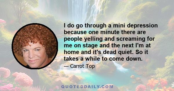 I do go through a mini depression because one minute there are people yelling and screaming for me on stage and the next I'm at home and it's dead quiet. So it takes a while to come down.