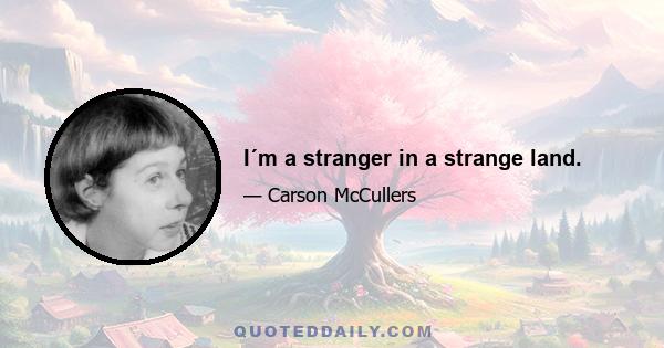 I´m a stranger in a strange land.