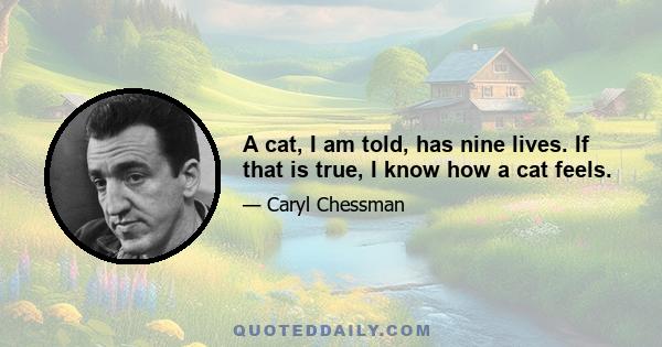 A cat, I am told, has nine lives. If that is true, I know how a cat feels.