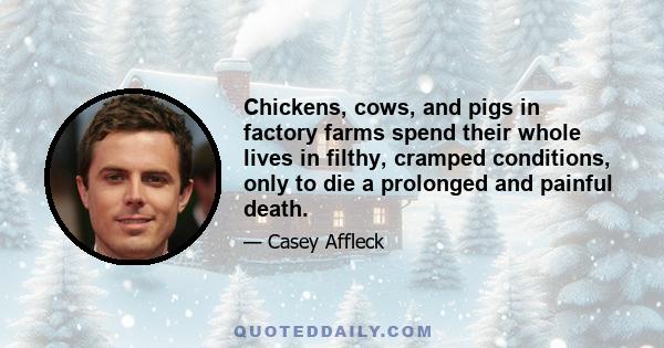 Chickens, cows, and pigs in factory farms spend their whole lives in filthy, cramped conditions, only to die a prolonged and painful death.