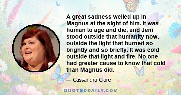 A great sadness welled up in Magnus at the sight of him. It was human to age and die, and Jem stood outside that humanity now, outside the light that burned so brightly and so briefly. It was cold outside that light and 