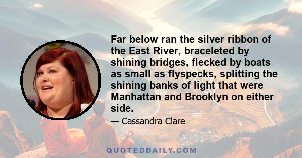 Far below ran the silver ribbon of the East River, braceleted by shining bridges, flecked by boats as small as flyspecks, splitting the shining banks of light that were Manhattan and Brooklyn on either side.