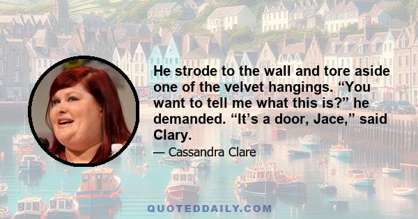 He strode to the wall and tore aside one of the velvet hangings. “You want to tell me what this is?” he demanded. “It’s a door, Jace,” said Clary.