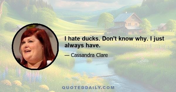 I hate ducks. Don't know why. I just always have.