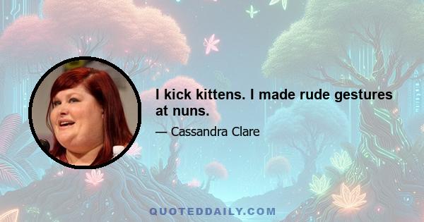 I kick kittens. I made rude gestures at nuns.