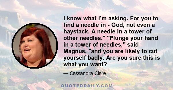 I know what I'm asking. For you to find a needle in - God, not even a haystack. A needle in a tower of other needles. Plunge your hand in a tower of needles, said Magnus, and you are likely to cut yourself badly. Are