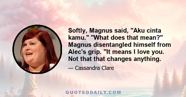 Softly, Magnus said, Aku cinta kamu. What does that mean? Magnus disentangled himself from Alec's grip. It means I love you. Not that that changes anything.