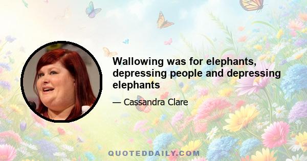 Wallowing was for elephants, depressing people and depressing elephants