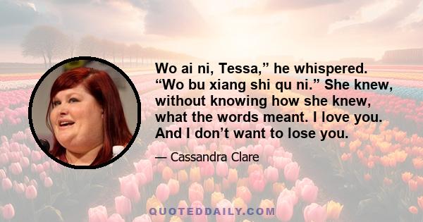 Wo ai ni, Tessa,” he whispered. “Wo bu xiang shi qu ni.” She knew, without knowing how she knew, what the words meant. I love you. And I don’t want to lose you.