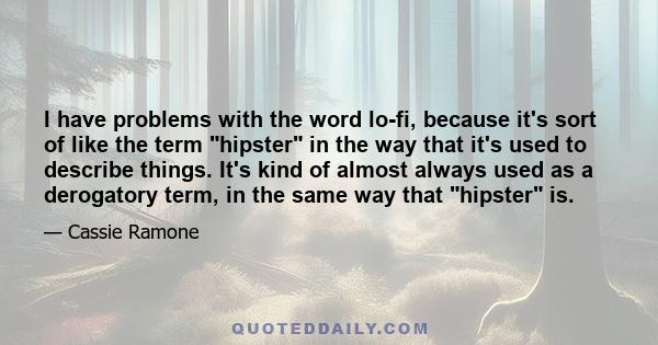 I have problems with the word lo-fi, because it's sort of like the term hipster in the way that it's used to describe things. It's kind of almost always used as a derogatory term, in the same way that hipster is.