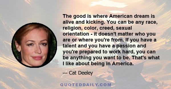 The good is where American dream is alive and kicking. You can be any race, religion, color, creed, sexual orientation - it doesn't matter who you are or where you're from. If you have a talent and you have a passion