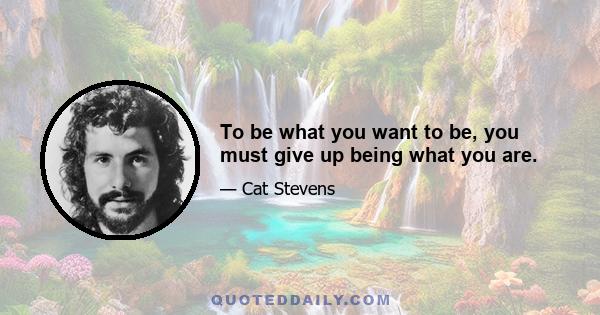 To be what you want to be, you must give up being what you are.