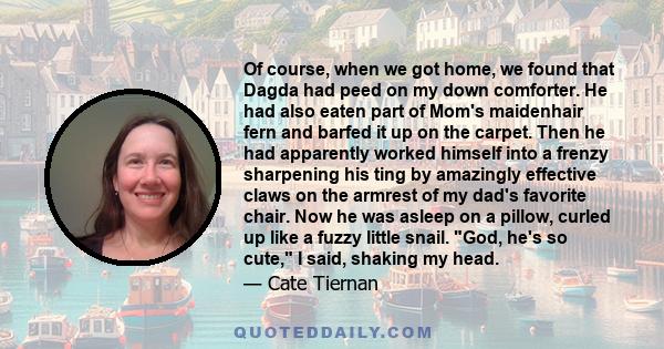 Of course, when we got home, we found that Dagda had peed on my down comforter. He had also eaten part of Mom's maidenhair fern and barfed it up on the carpet. Then he had apparently worked himself into a frenzy