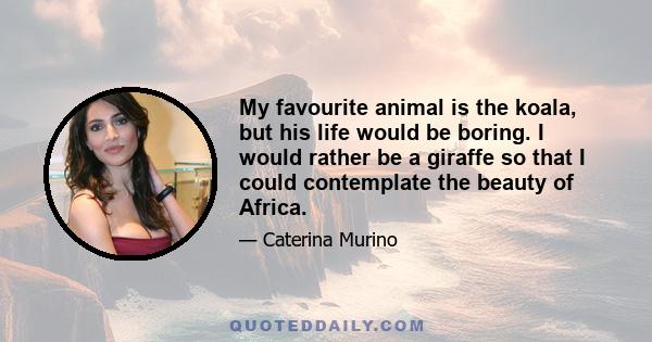 My favourite animal is the koala, but his life would be boring. I would rather be a giraffe so that I could contemplate the beauty of Africa.