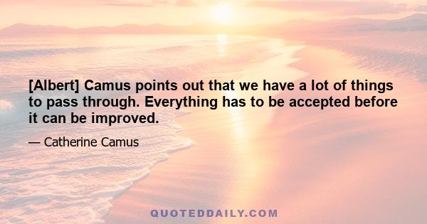 [Albert] Camus points out that we have a lot of things to pass through. Everything has to be accepted before it can be improved.