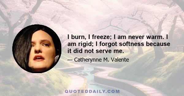 I burn, I freeze; I am never warm. I am rigid; I forgot softness because it did not serve me.