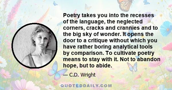 Poetry takes you into the recesses of the language, the neglected corners, cracks and crannies and to the big sky of wonder. It opens the door to a critique without which you have rather boring analytical tools by