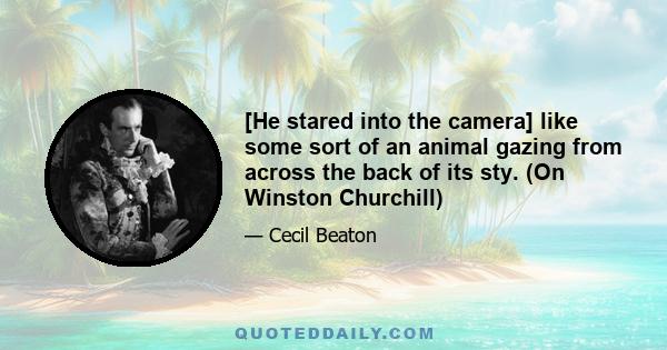 [He stared into the camera] like some sort of an animal gazing from across the back of its sty. (On Winston Churchill)