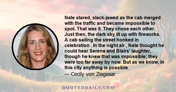 Nate stared, slack-jawed as the cab merged with the traffic and became impossible to spot. That was it. They chose each other. Just then, the dark sky lit up with fireworks. A cab sailing the street honked in