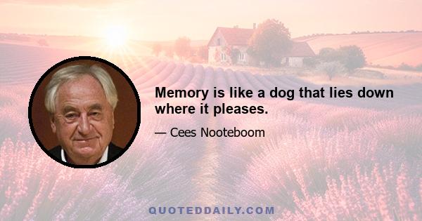 Memory is like a dog that lies down where it pleases.